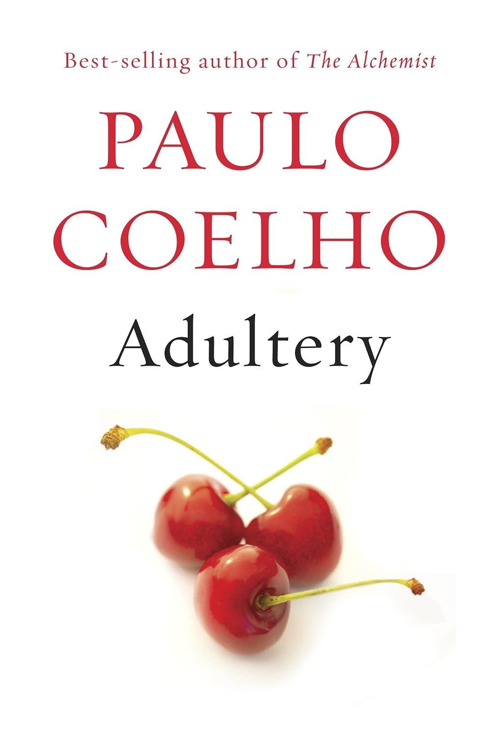 Adultery: A novel
