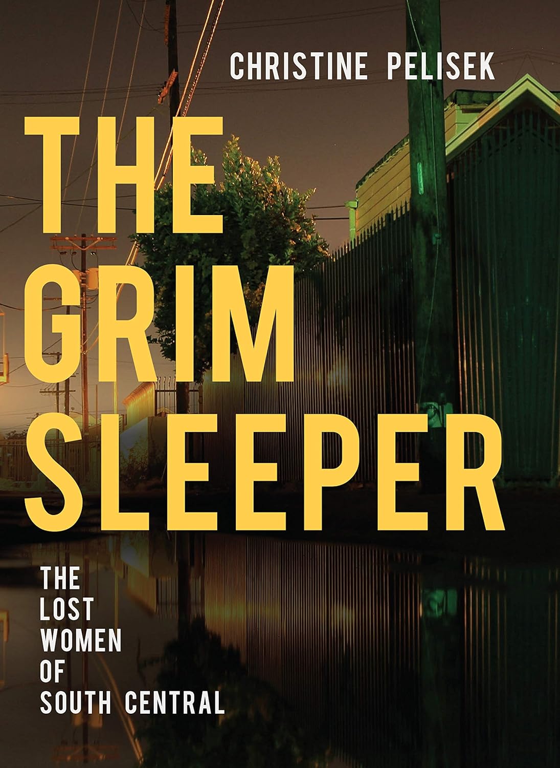 The Grim Sleeper: The Lost Women of South Central