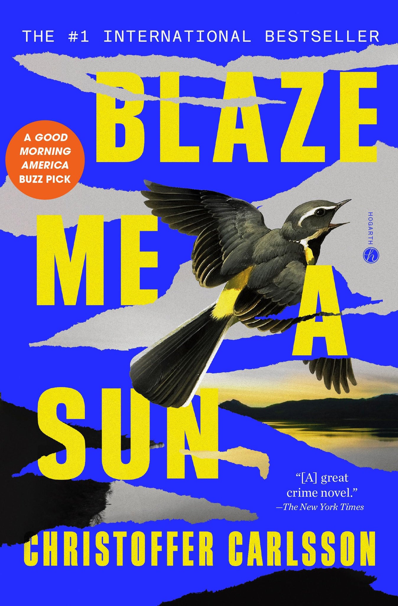 Blaze Me a Sun: A Novel About a Crime