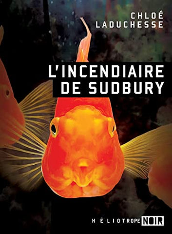 L'incendiaire de Sudbury (French Edition)
