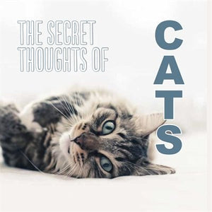 The Secret Thoughts Of Cats